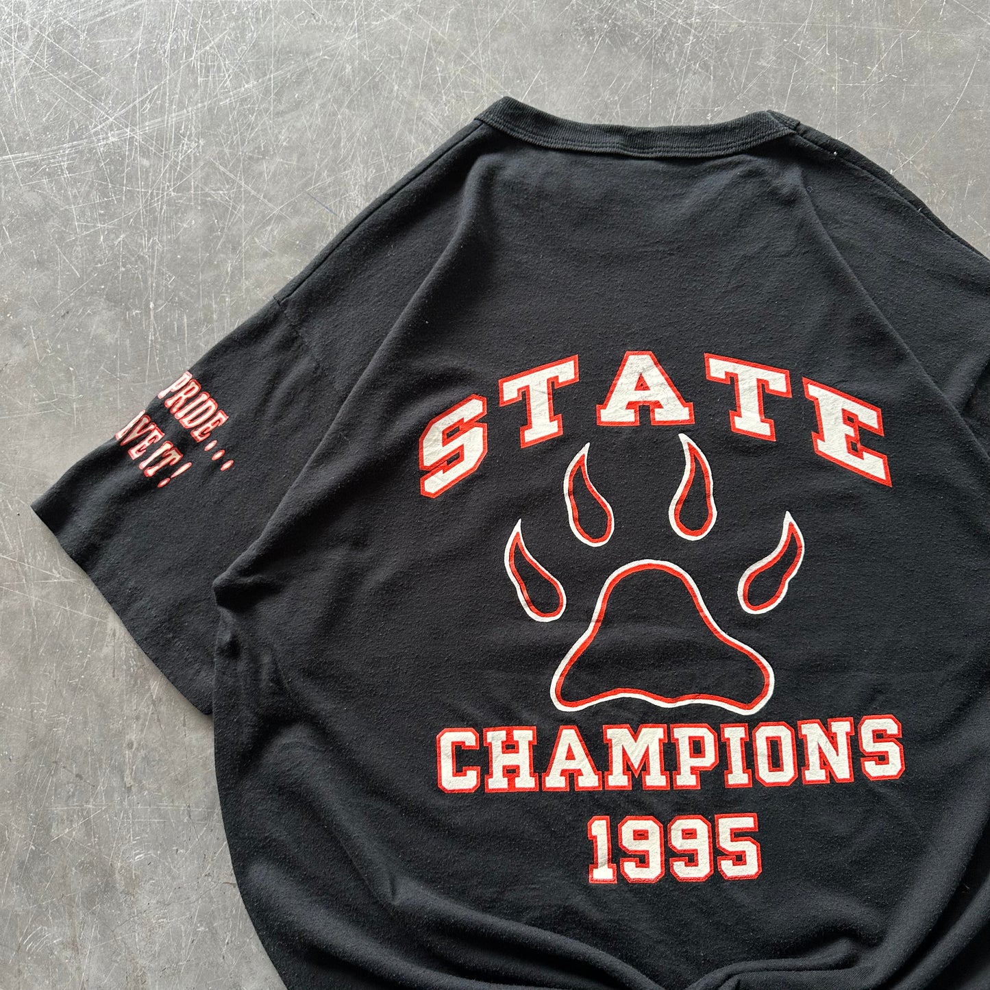 Vintage 1995 State Champions Tee Size L